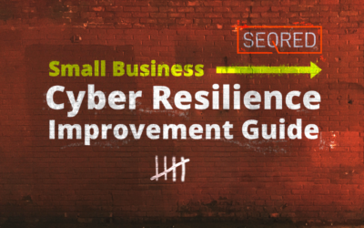 Small Business Cyber Resilience Improvement Guide. Part V – Using passwords to protect your data.