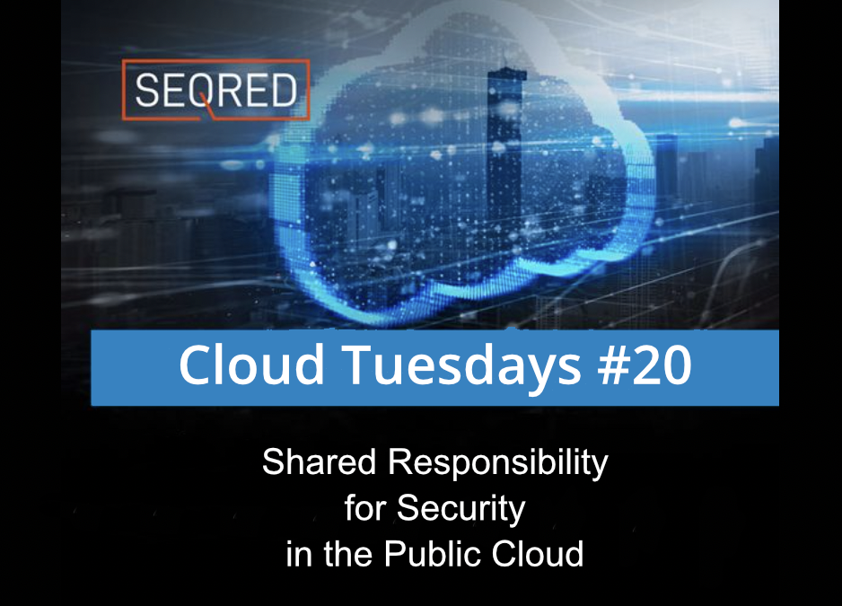 Shared Responsibility for Security in the Public Cloud