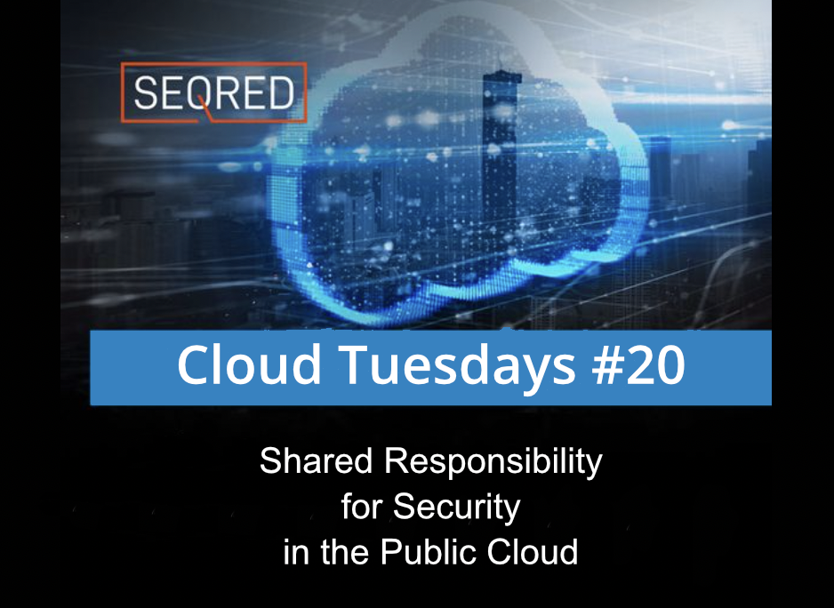 Shared Responsibility for Security in the Public Cloud